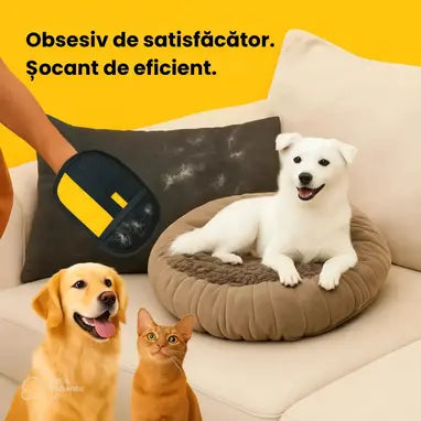 ViloGlove™ – Mănușa supremă pentru îndepărtarea părului animalelor de companie